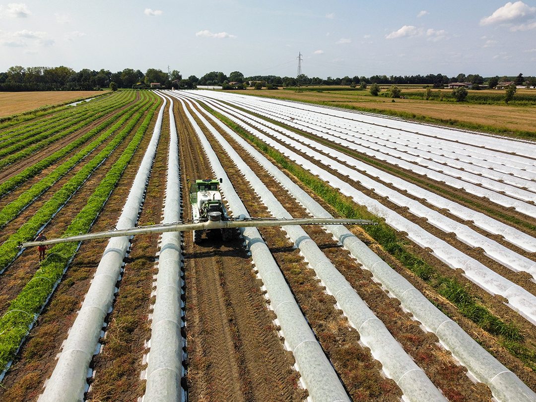 Vista aerea dell'apertura dei mini-tunnel con macchina Solmei
