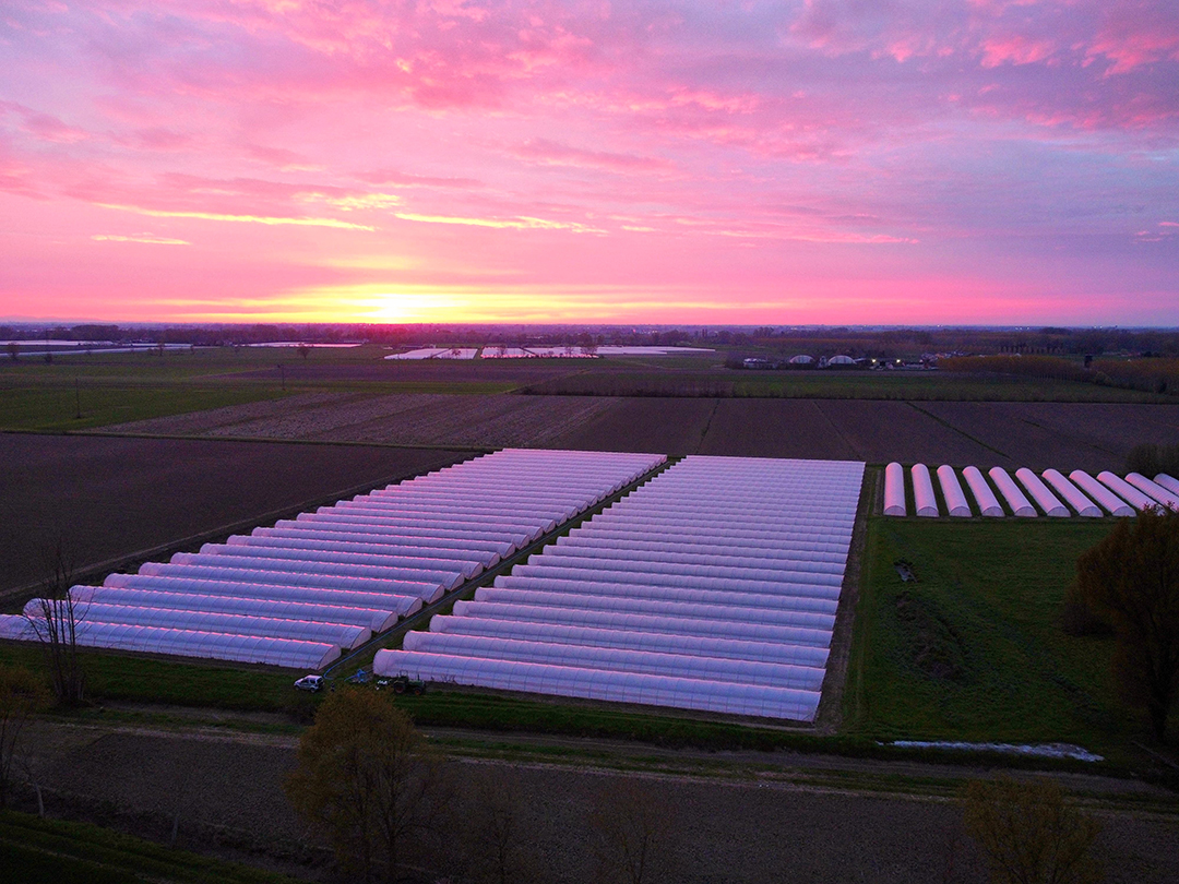 Vista aerea del complesso di serre tunnel al tramonto sulla pianura padana